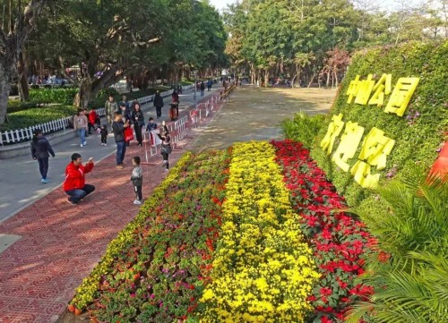 chuangwen012019112002