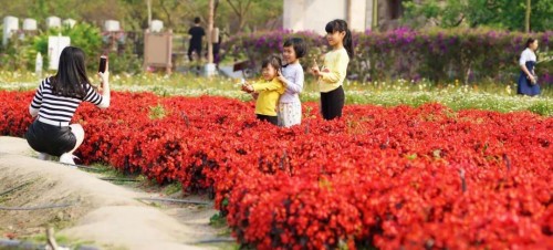 chuangwen012019112003